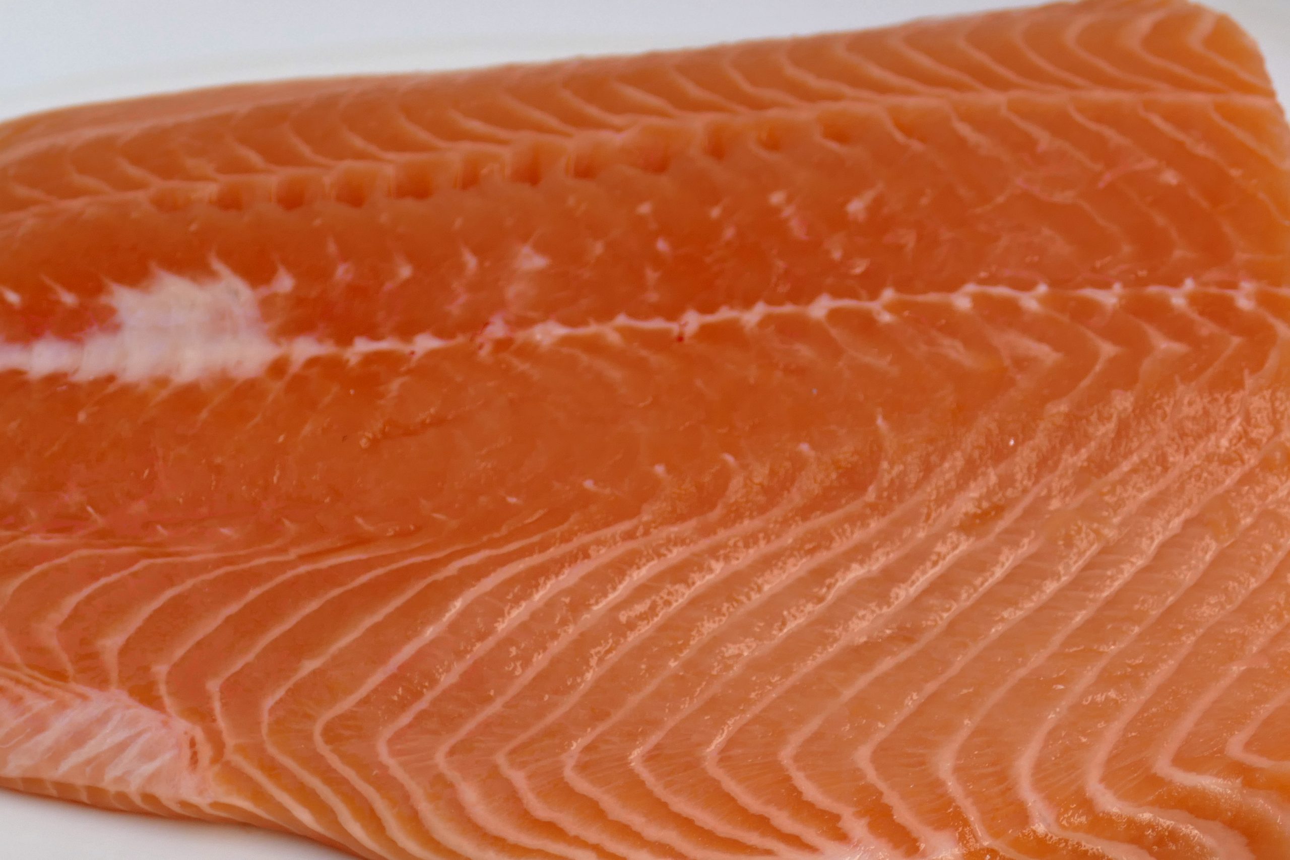 raw salmon